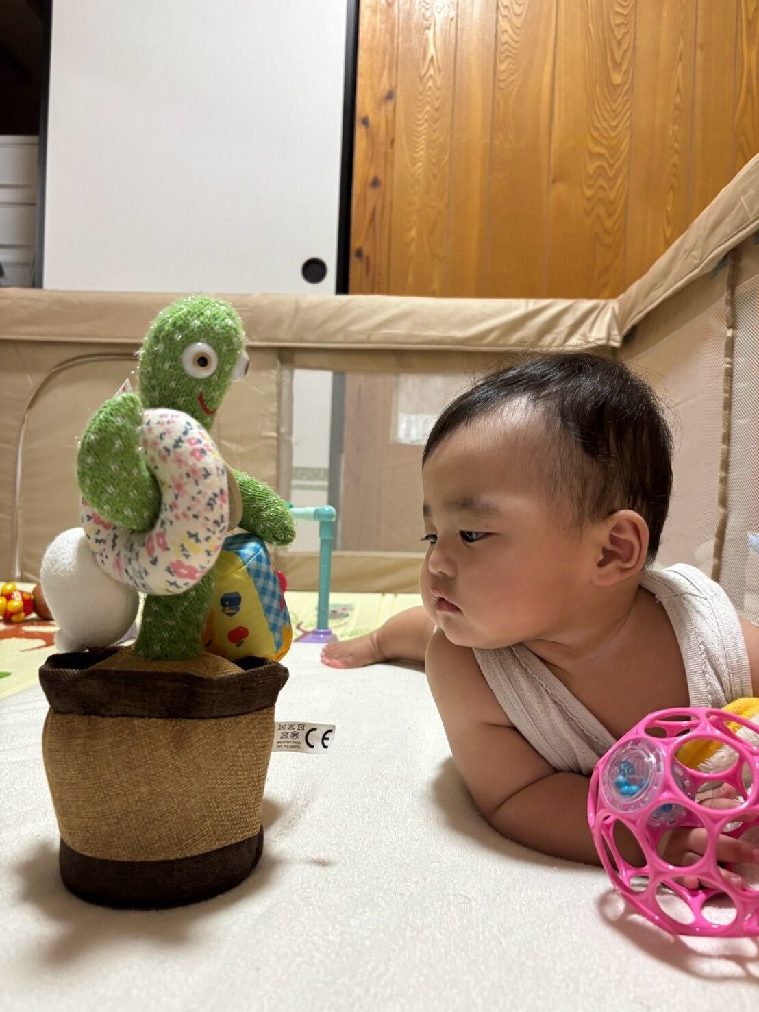 赤ちゃんとの毎日は、長いようで本当にあっという間。